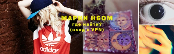 прущие грибы Нефтекумск
