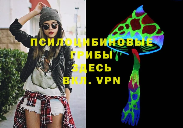 винт Алексеевка