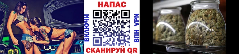 Каннабис сатива  Ахтубинск 